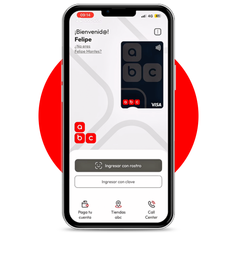 Pantalla ingresar datos abcPass